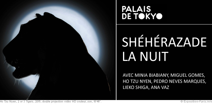 expo-art-contemporain-paris-sheherazade-la-nuit-palais-de-tokyo