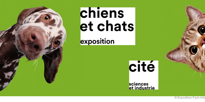 expo-chiens-et-chats-cite-des-sciences-paris-2025