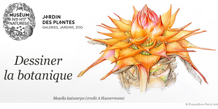 expo-dessiner-la-botanique-grandes-serres-museum-national-histoire-naturelle-paris