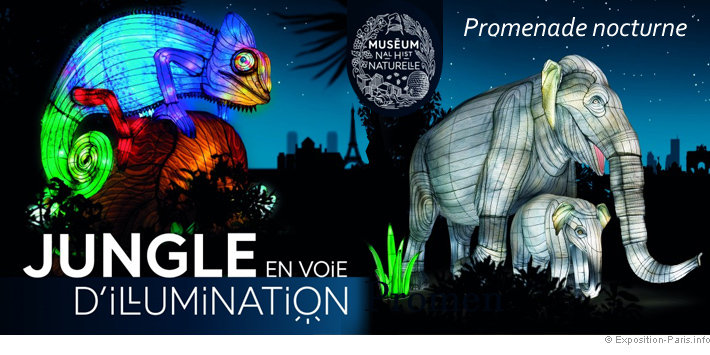 expo-experience-immersive-jungle-en-voie-d-illumination-jardin-des-plantes