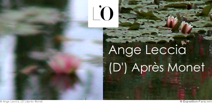 expo-paris-ange-leccia-d-apres-monet-art-contemporain-musee-orangerie