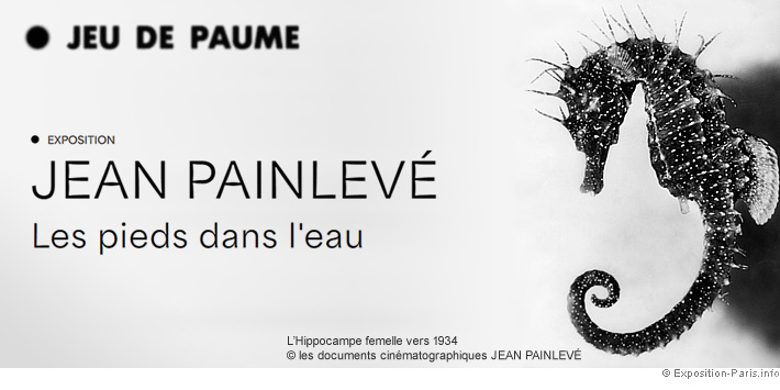 expo-paris-jean-painleve-cineaste-scientifique-jeu-de-paume