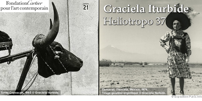 expo-photo-paris-graciela-iturbide-heliotropo-37-fondation-cartier-art-contemporain