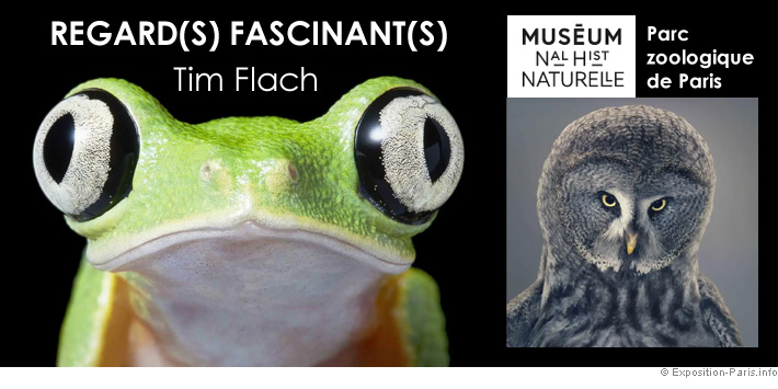 expo-photo-paris-regards-fascinants-d-animaux-tim-flach-parc-zoologique-de-paris